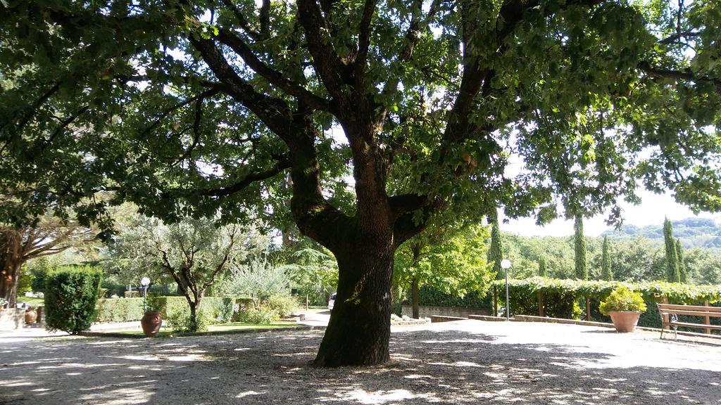 La Locanda Della Chiocciola Orte Kültér fotó